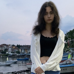 тихо мълчешком