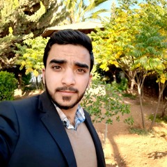 عامر قاقيش