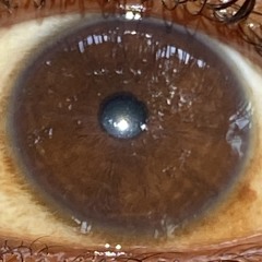 A͜͡n͜͡U͜͡t͜͡T͜͡e͜͡Y͜͡