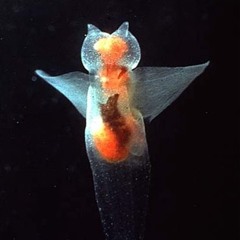 김서로… ☘︎ 𓃹 ☘︎