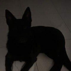 Sandr4na