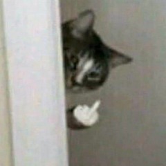 hungttf
