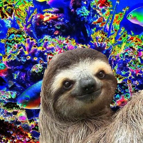 Stream Native Sloth music | Listen to songs, albums, playlists for free