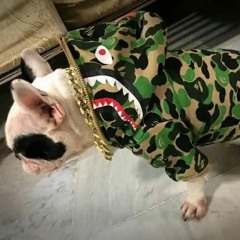 lil kdog