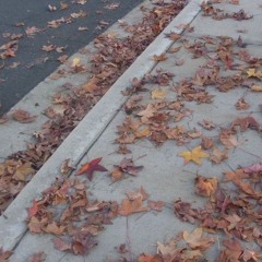 le coupable oublié de votre bles