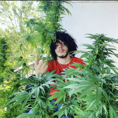 ✝️✝️ King Adi GuWop ✝️✝️