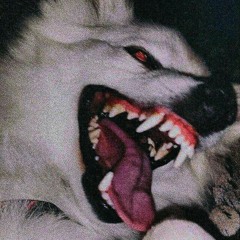 N_avid.slh