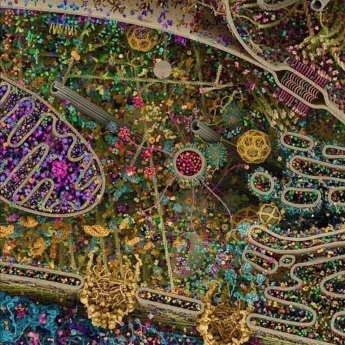 Mike P-I Need Your