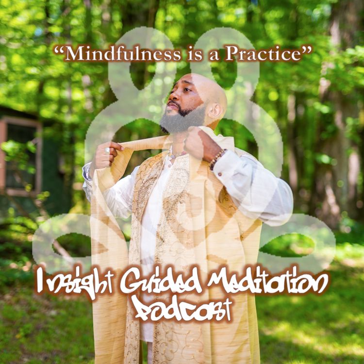 Insight Guided Meditation cover art