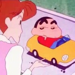 대붕감