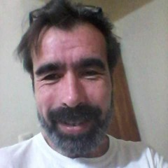 Kurt it ile dalaşmaz; üzgün_olabilmeyi dilerdim..