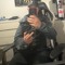 mini marky