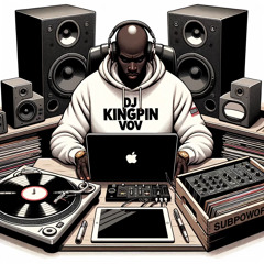 DJ KINGPIN-Villain Of Vinyl