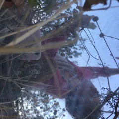 Isija Ella Valeriana