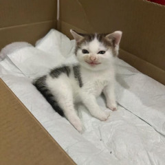 eep!