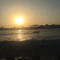 Majed Hamed