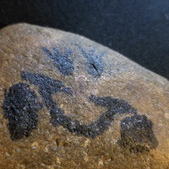 c2honor