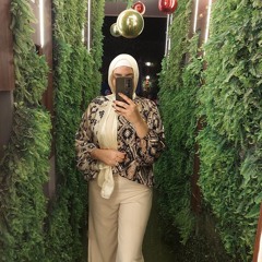 Alaa Elamir