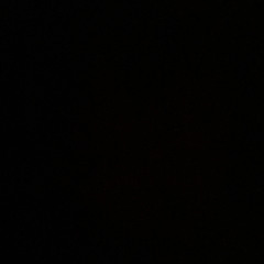 ambree