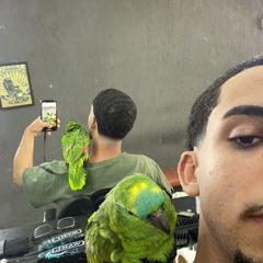 meu nobre
