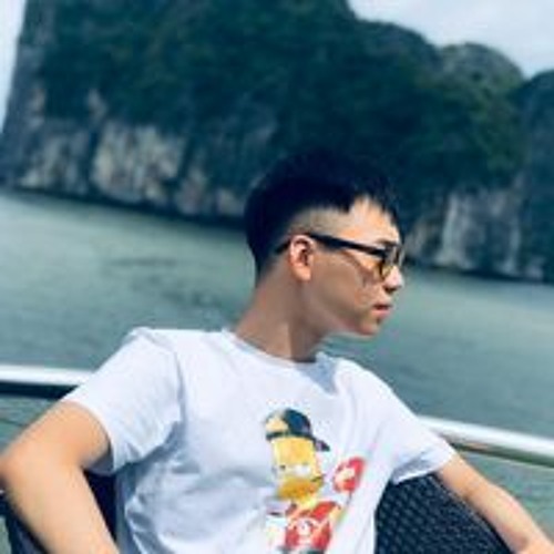 Nguyen Dinh Duc’s avatar
