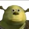 Shrekwasoski