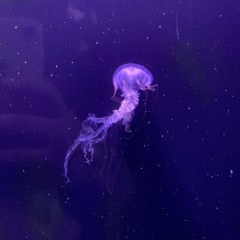 ✮𝚃𝙴𝙻𝙻𝚈𝙾𝚄𝚁𝙼𝙾𝙼𝙸𝚂𝙰𝙸𝙳𝙷𝙸✮