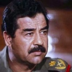 Mahmoud Saleh