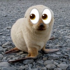 𓂃۶ৎ ₊✩‧₊˚౨ৎ˚₊✩‧₊