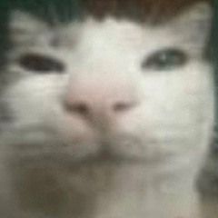 Tiltas_Antkelio
