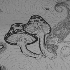 🍄