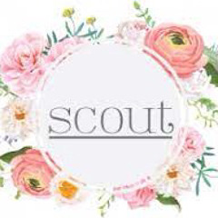 Scout Babes