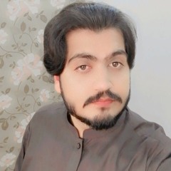 Muhammed Ahmed Khan