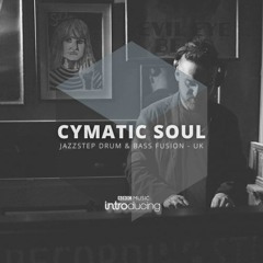 Cymatic Soul