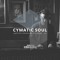 Cymatic Soul