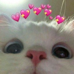 sᴋʏ.