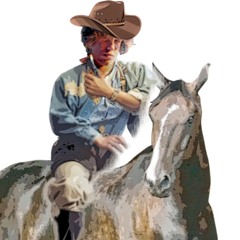 D.B Nord