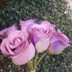 الغريب الهاشمي