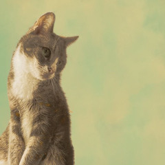 Dancing in The Living room