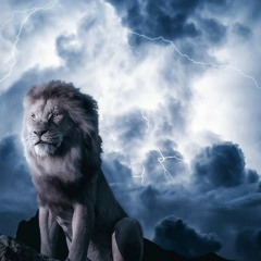 GãmmaRæVîctoryBlμeFíre🔥