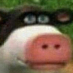 Mr. Shit