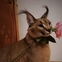 Nu metal That's Actually "Good" - 5