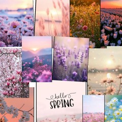 🩵🩵Ashleigh🩵🩵