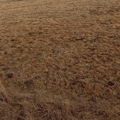 half