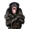 mraz’
