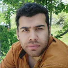 soheilmozafarii