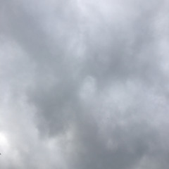 4444