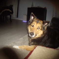 Fabien