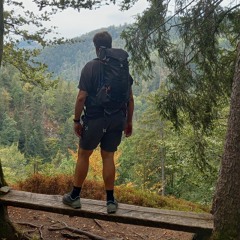 Marc Wühl