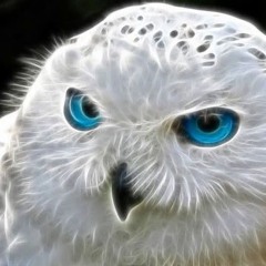 GRINDER!  ☯️☯️